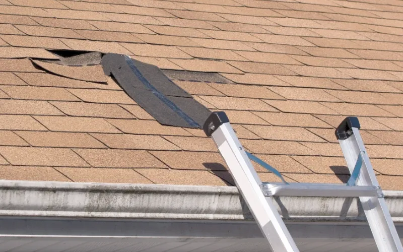 Shingles that are coming apart is in need of repair or replacement.